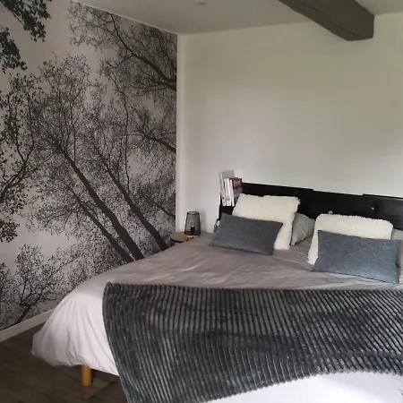 L 'albizia Chauvigny