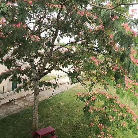 L 'albizia *