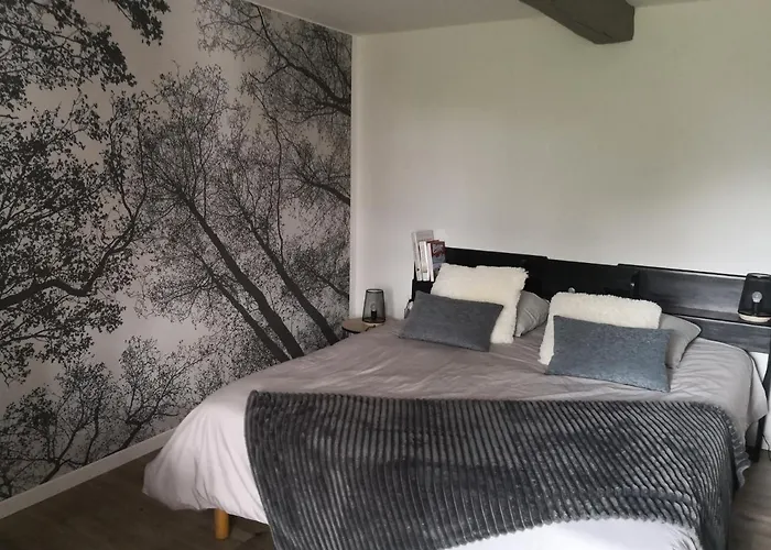 L 'albizia Chauvigny